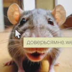 WebP формат: секрет оптимизации изображений