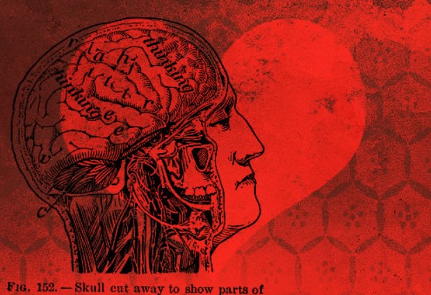 эмоциональный веб дизайн