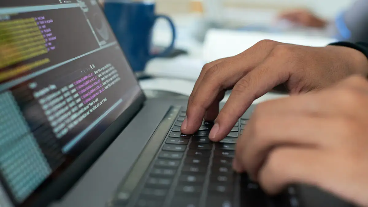 веб разработка обучение