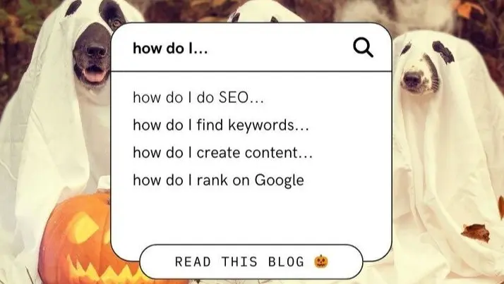 Domain Rank в 2025 году