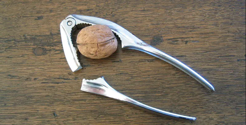 Как понять, что ваш Domain Rank уже «крепкий»