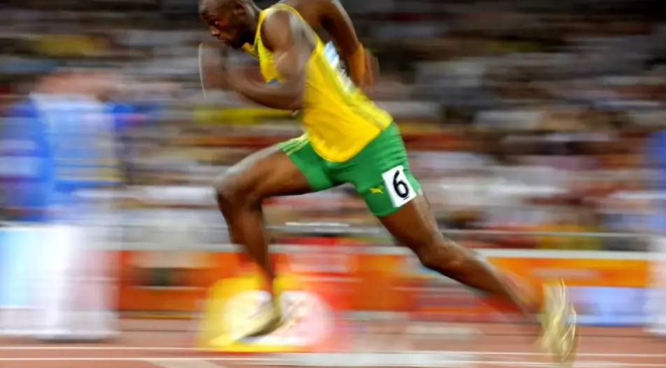 ссылки с профилей