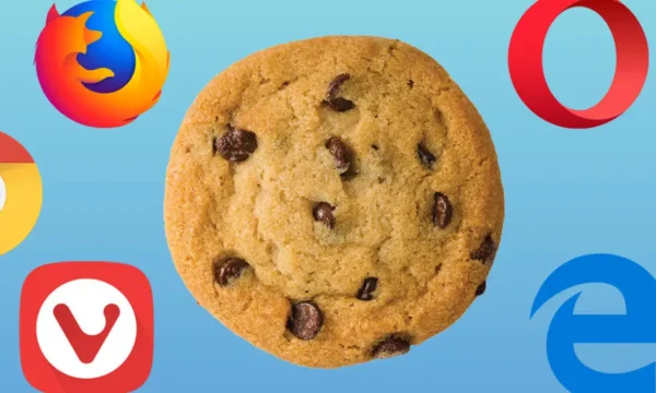 что такое cookie файлы